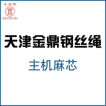 와이어 엘리베이터 전용 MM 천진 금정패 마심 예인함 속도 제한이다 2635003150, 16mm, 연그레이