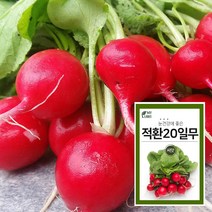 마이플랜트 적환20일무 600립 채소 과일 씨앗 베란다 텃밭 가꾸기