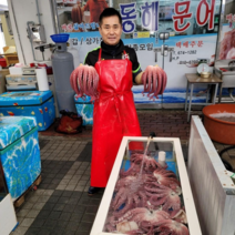 주문즉시 삶은 자숙문어 안주용 슬라이스 1kg 참문어 숙회 봉화동해문어 안동 영주