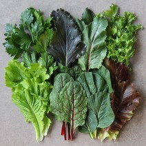 맛군 [산지 직송] 당일 수확 친환경 유기농 쌈채소, 쌈채소 800g, 1박스