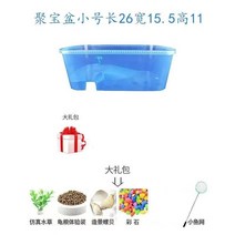 가정용수족관 거북이 전용 항아리 사육 상자 건조대 포함 오르막 조경 가정용 생태 항아리 거북이 수륙대-10863, 옵션10