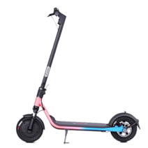 Ninebot F40 나인봇 전동킥보드 휴대용 접이식 리튬 F시리즈, 36V, F30 클래식 30km/APP 락카/블루 핑크