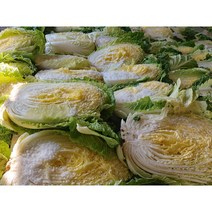 오늘애푸드 김장시즌 국내산 강원도 / 해남 절임배추20kg, 11월23일(목)도착