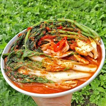 올바른새움푸드 국산 100% 농가수제 열무 얼갈이 자박김치 열무김치, 1kg, 1개