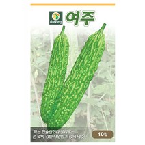 여주쓴오이씨앗 10립, 단품없음