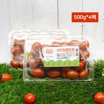 가족 공장직송 스테비아 샤인달콤마토 대추방울토마토 2kg (500g*4팩)