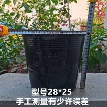 묘목 컵 비닐포트 영양 일회용 두꺼운 플라스틱 가방, 30.2825 직경 24 높이 20 천