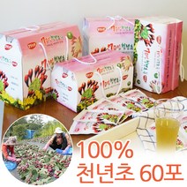 무농약 100% 천년초즙 천년초진액 100ml x60포, 100mlx60포