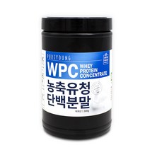 퓨어영 WPC 유청단백질 농축분말 300g 미국산, 1통