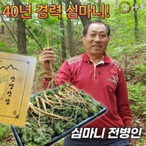 40년경력 심마니 전병인의 삼나루 산양산삼 산양삼 7년근 10뿌리 세트 부모님 명절선물