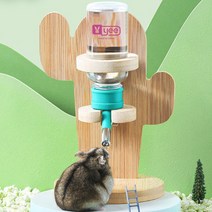 바우마켓 반려동물 선인장 급수기, 그린, 1개