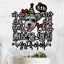 써봄토퍼 [써봄토퍼] 마음으로낳아 지갑으로키운 강아지 생일파티 반려견 반려묘 케이크토퍼, 생일축하해