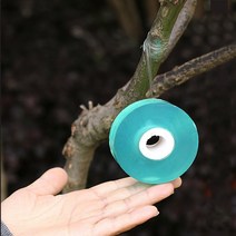 원예 정원 조경 나무 접붙이기 접목테이프 그린 2cm, 단품