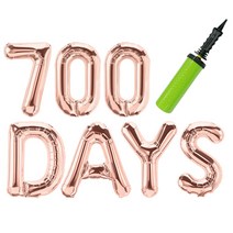 고백하는날 로즈골드 100days 알파벳 은박풍선 기념일 파티 핸드펌프 풍선세트, 1세트, 700일