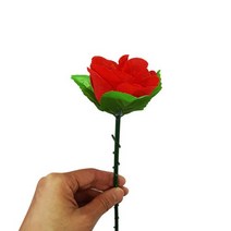 나타나는장미(어피어링로즈)(Appering Rose) 로맨틱장미마술 프로포즈 이벤트용, 상세페이지 참조, 상세페이지 참조, 상세페이지 참조