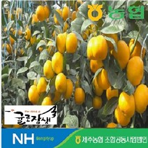 기타 2022 귤로장생 하우스 밀감 2kg, 1