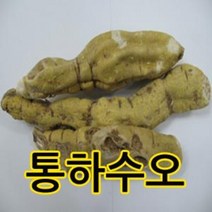 SC1 통하수오300g
