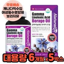 캐나다산 보라지 6개월대용량 40대여자영양제 월경 면역과민반응 피부건강 중년여성 5박스