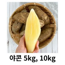 야콘 5kg 10kg 국내산 산지 직송 땅속의 과일 아삭아삭 달달함 식감좋은 부침 생채 야콘주스 야콘즙 천연감미료 야콘, 1개