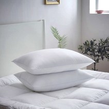 1+1 통세탁 항균베개솜 마이크로화이바 다운필 기능성베개솜(40X60/50X70) 8종, 1+1 우디 항균베개솜(50X70)