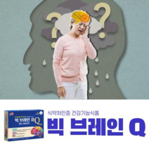 뇌영양제 빅브레인큐 2개월분 포스파티딜세린징코 치매증상 뇌기능개선 기억력영양제 혈액순환