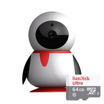 펭카 가정용 홈 IP네트워크 FULL HD 200만화소 CCTV 펭귄형 카메라 아기모니터, 펭카 + SD메모리 카드 64GB +벽부형 브라켓