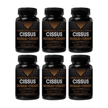 앱소뉴트릭스 시서스 시서스 캡슐 1600mg 120캡슐 6개