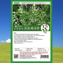 고로쇠나무 씨앗 고로쇠나무 씨 종자 15g, 1개