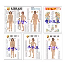 [씨엔아이] 피지오 경락 표준경혈부위도 경혈점 인체도 피부샵/마사지샵 관리용품, 1.종합도