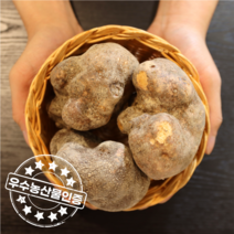 우수농산물 GAP 인증 뮤신듬뿍 애플마 둥근마 특품 1kg