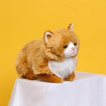 위더펫 리얼 고양이 인형 페르시안 친칠라 브라운, 본상품선택