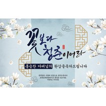 꽃보다 청춘 환갑 칠순 현수막 돈케이크 퇴임 TM, 150-90cm, 포토형