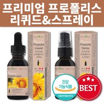 프리미엄 프로폴리스 리퀴드 스프레이 항산화 구강 향균작용 플라보노이드 효능 캐나다직수입, 프로폴리스 리퀴드 1박스