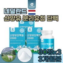네덜란드 10년 전통 산양유 산양우 분말 분리 유청 단백 질 미셀라카제인 밀크 칼슘 BCAA 간편하게 여성 주부 남녀 노소 씹어 먹는 녹여 맛 있는 정 탕입 맛 있는 추천 파는곳