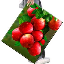 FASEN 사은품+액자 캔버스형보석십자수 DIY세트 라운드 비즈 40 X 50cm, FSE74.돈들어오는 사과