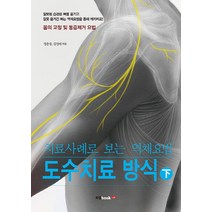 치료사례로 보는 역체요법 도수치료 방식(하):몸의 교정 및 통증제거 요법, 북랩, 김정애