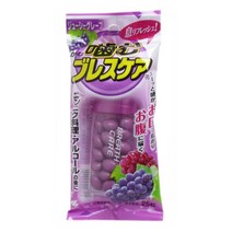 고바야시 씹어먹는 브레스케어 쥬시그레이프 25알, 1개