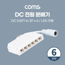 DC 전원 분배기 (6분배) T형 / LED 전원 / 5.5(2.1) F to 2P x 6 / 제작용 [BB652]