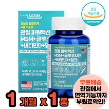 관절건강 MSM글루코사민 MSN 아세틸글루코사민 비타민D 망간 상어연골 보스웰리아
