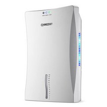 제습기110v 220v 지능형 제습기 에너지 절약 수분 흡수기 건조 의류 정화 공기 원 버튼 작동 가정용, 06 C 110V_02 미국 플러그