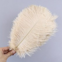 자연 흰색 타조 깃털 웨딩 홈 장식 15-20cm/25-30cm/30-35cm 테이블 중심 공예 10 개/묶음, [09] Light champagne, [01] 30-35cm