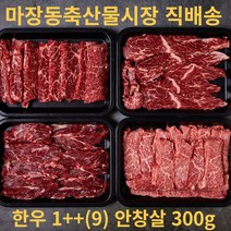 마장축산물시장 직배송 1++ 투쁠 마블링9 최상위등급 최상급 한우 특수부위 안창살 300g