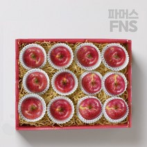 [단지네] 무주 반딧불 사과 알뜰선물세트 11과 3kg 가성비갑, 없음