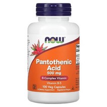 나우푸드 판토텐산 NOW Pantothenic Acid 500mg 식물성 100정