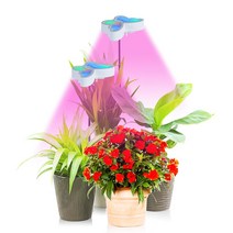 비상 나비 LED 식물등 생장등 성장등 식물 조명 전구 2헤드, 단품