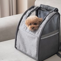 캣킷 반려동물 이동가방 심플 백팩, 그레이