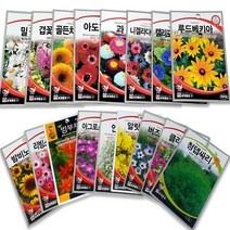 꽃 씨앗 허브씨 사계절 다년생 꽃씨 야생화 종자 씨앗 150여종, 71.유채꽃(1000립)