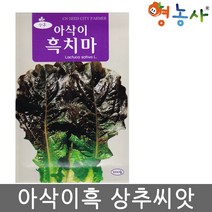 상추 아삭이 흑치마상추씨앗 5000립 상추씨앗, 1개