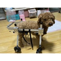 애완동물 용품 노령견 휠체어 앞다리 사륜 애완동물보조기, D. S