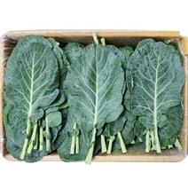 쌈케일 500g